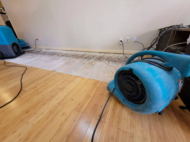 Professional Water Damage Repair technician working in Osceola, MO